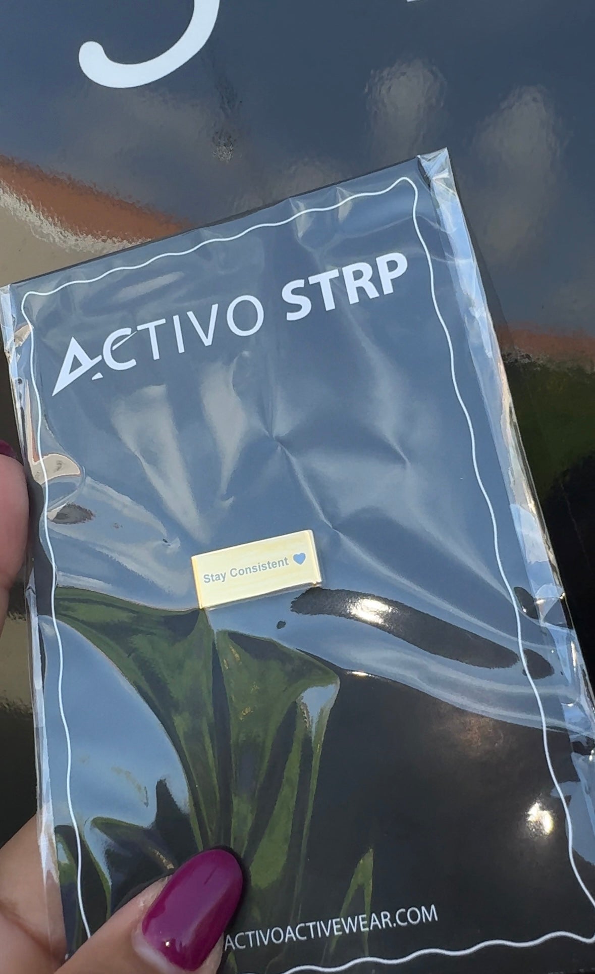 Activo watch accessory